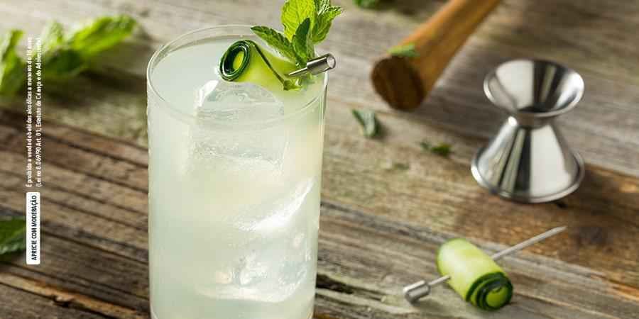 gin fizz receita
