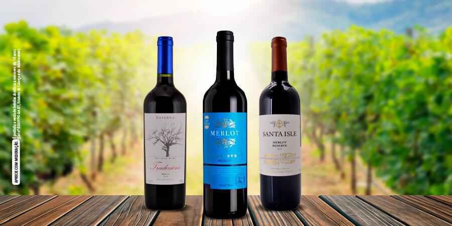 vinhos tintos de verão