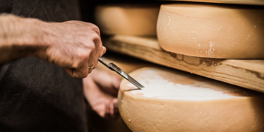 Dia Nacional do Queijo aprenda mais sobre a maturação