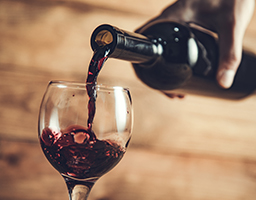 Santa Rita: Uma Viagem pelos Vinhos do Chile